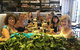 Australian Designer Outlet Shopping Tour- Sydney - thumb 6