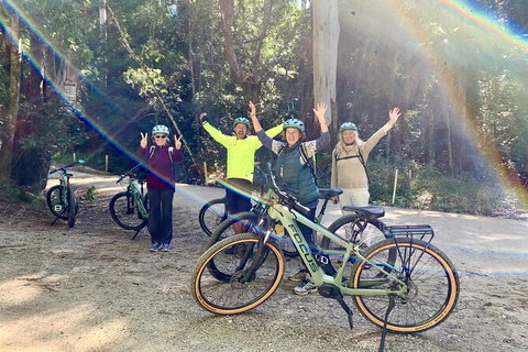 Guided E Bike Tour - Unicorn Falls & National Park - Your Accommodation 3