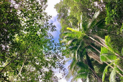 Guided E Bike Tour - Unicorn Falls & National Park - Your Accommodation 5