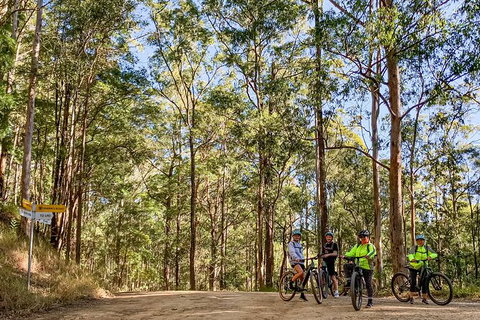 Guided E Bike Tour - Unicorn Falls & National Park - Your Accommodation 10