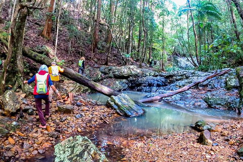 Guided E Bike Tour - Unicorn Falls & National Park - Your Accommodation 17