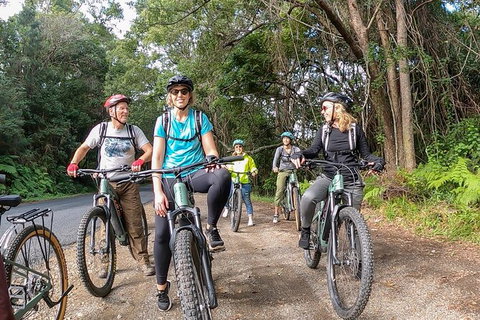 Guided E Bike Tour - Unicorn Falls & National Park - Your Accommodation 11