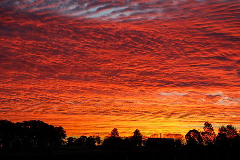 Private Full-Day Wine Tour In Hunter Valley - Your Accommodation 0