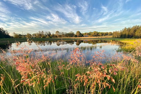 Private Full-Day Wine Tour In Hunter Valley - Your Accommodation 5