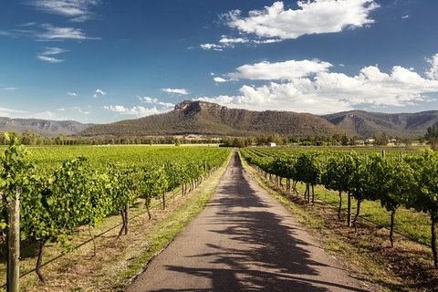 Hunter Valley Highlights Private Wine Tour From Sydney - Your Accommodation 2