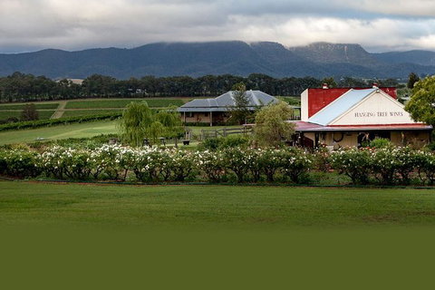 Hunter Valley Highlights Private Wine Tour From Sydney - Your Accommodation 5