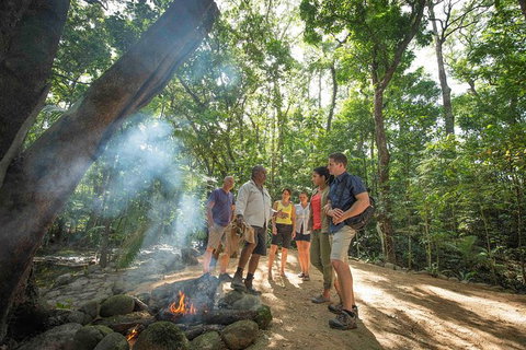 Aboriginal Cultural Daintree Rainforest Tour From Cairns Or Port Douglas - Your Accommodation 3