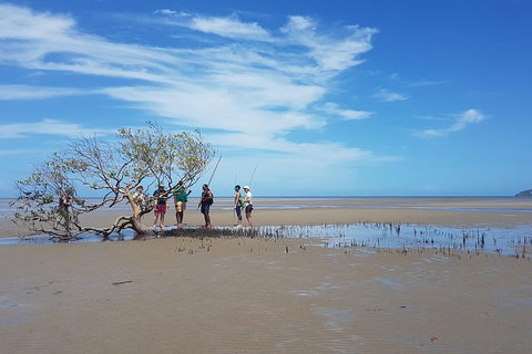 Aboriginal Cultural Daintree Rainforest Tour From Cairns Or Port Douglas - Your Accommodation 1