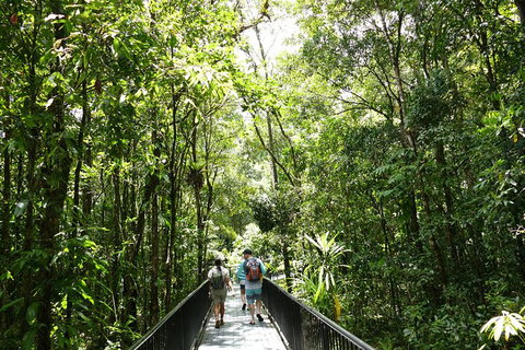 Aboriginal Cultural Daintree Rainforest Tour From Cairns Or Port Douglas - Your Accommodation 4