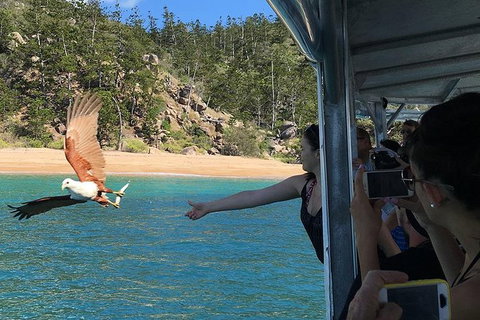 Aquascene Magnetic Island Discovery Tour - Your Accommodation 2