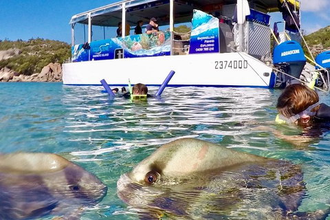 Aquascene Magnetic Island Discovery Tour - Your Accommodation 4