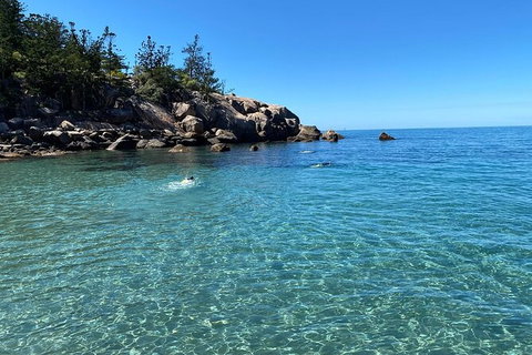 Aquascene Magnetic Island Discovery Tour - Your Accommodation 9