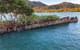 Aquascene Magnetic Island Discovery Tour - thumb 1