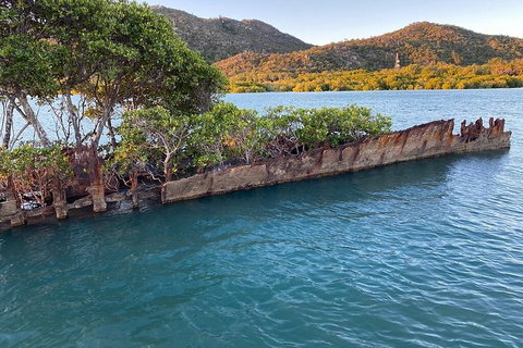 Aquascene Magnetic Island Discovery Tour - Your Accommodation 1