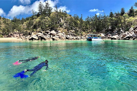 Aquascene Magnetic Island Discovery Tour - Your Accommodation 8