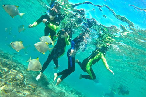 Half-Day Kayak, SUP And Snorkel Tour At Wave Break Island With Lunch - Your Accommodation 7