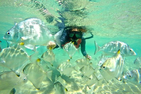 Half-Day Kayak, SUP And Snorkel Tour At Wave Break Island With Lunch - Your Accommodation 9