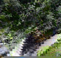 Full-day Springbrook National Park Tour from the Gold Coast - Your Accommodation