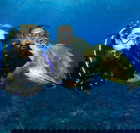 Gold Coast Try-Scuba Experience at Wave Break Island - Your Accommodation