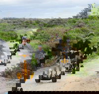 Gold Coast Segway Safari Adventure 90-minutes - Your Accommodation