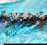 3-Day Open Water Certification Course on the Gold Coast - Your Accommodation