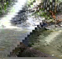 The Gold ExperiencePrivate Day Tour In Lamington National Park or Mt Tambourine - Your Accommodation