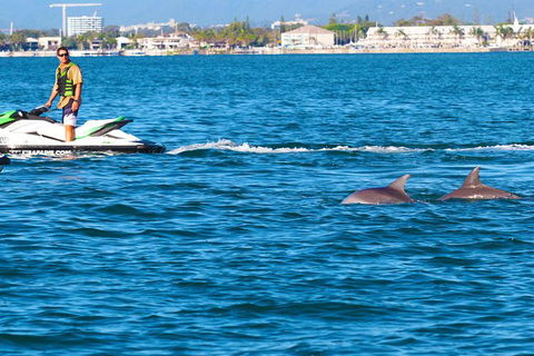 1hr Jet Ski Safari - Your Accommodation 4
