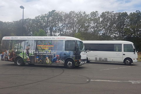 Gold Coast Airport Shared Arrival Shuttle Service With Wheelchair Access - Your Accommodation 0