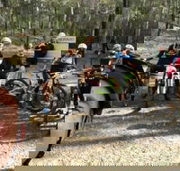 Gold Coast Mountain Bike Tour - Your Accommodation