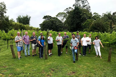 Mt Tamborine Winery Tour - Local Pickup - Your Accommodation 3
