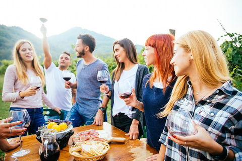 Mt Tamborine Winery Tour - Local Pickup - Your Accommodation 4
