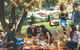 Mt Tamborine Winery Tour - Local Pickup - thumb 6