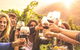 Mt Tamborine Winery Tour - Local Pickup - thumb 0