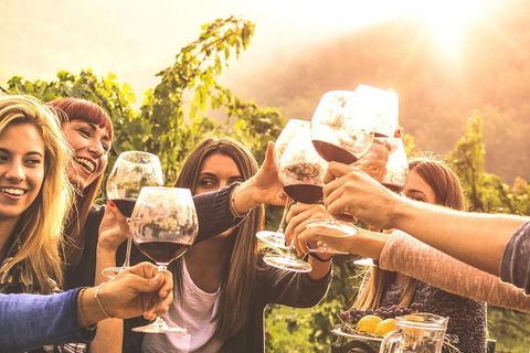 Mt Tamborine Winery Tour - Local Pickup - Your Accommodation 0