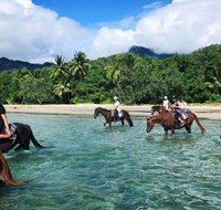 Afternoon Beach Horse Ride in Cape Tribulation - Your Accommodation