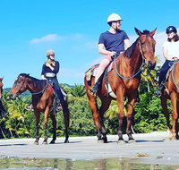 Mid-Morning Beach Horse Ride in Cape Tribulation with Pick Up - Your Accommodation