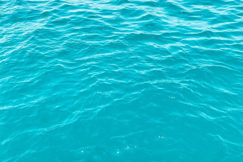 5 Night Bareboat Onboard Cattitude - Your Accommodation 2