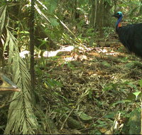 Small-Group Trekking Experience in Daintree National Park - Your Accommodation