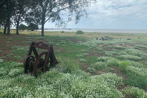 Half Day St. Helena Island Tour - Your Accommodation 1