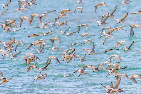 Sandy Straits Scenic & Wildlife Cruise - Your Accommodation 4