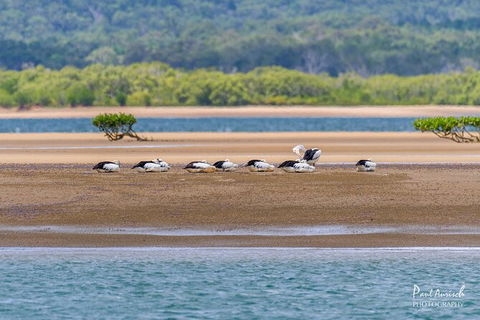 Sandy Straits Scenic & Wildlife Cruise - Your Accommodation 3