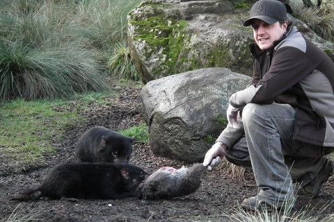 After Dark Tasmanian Devil Feeding Tour At Cradle Mountain - Your Accommodation 0