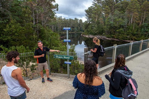 Tahune Airwalk Active Day Trip From Hobart Including Hastings Caves - Your Accommodation 3