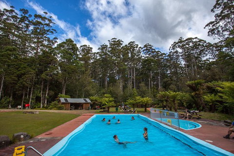 Tahune Airwalk Active Day Trip From Hobart Including Hastings Caves - Your Accommodation 2