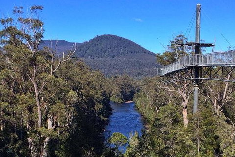 Tahune Airwalk Active Day Trip From Hobart Including Hastings Caves - Your Accommodation 6