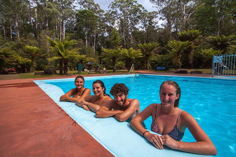 Tahune Airwalk Active Day Trip From Hobart Including Hastings Caves - Your Accommodation 4