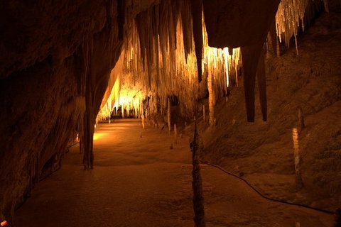 Tahune Airwalk Active Day Trip From Hobart Including Hastings Caves - Your Accommodation 8