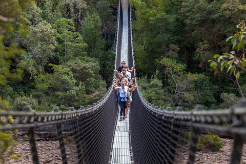 Tahune Airwalk Active Day Trip From Hobart Including Hastings Caves - Your Accommodation 0