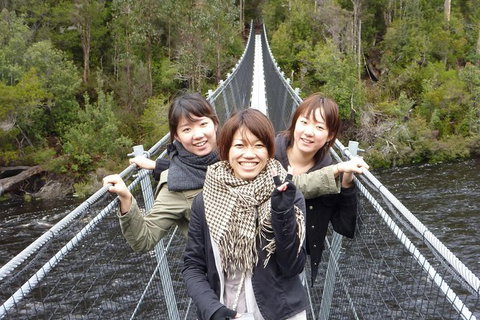 Tahune Airwalk Active Day Trip From Hobart Including Hastings Caves - Your Accommodation 7
