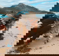 Freycinet Walking Tour - Your Accommodation